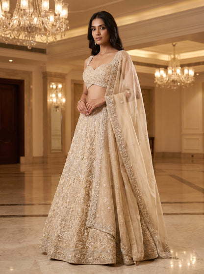 Luxury Reception Bridal Lehenga Choli